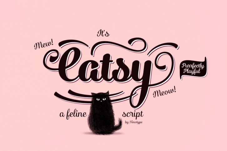 Catsy Script Pack Font Download
