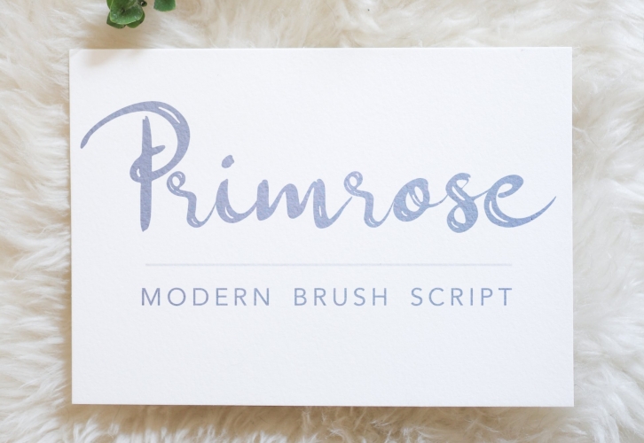 Primrose Modern Brush Script Font Download
