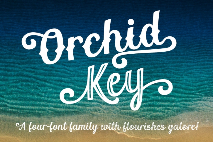 Orchid Key- a retro 4-font family Font Download