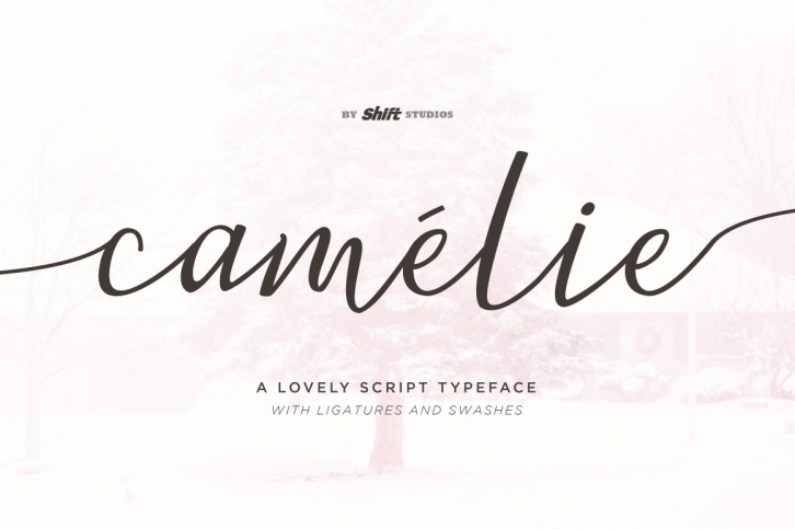 Camelie Typeface Font Download