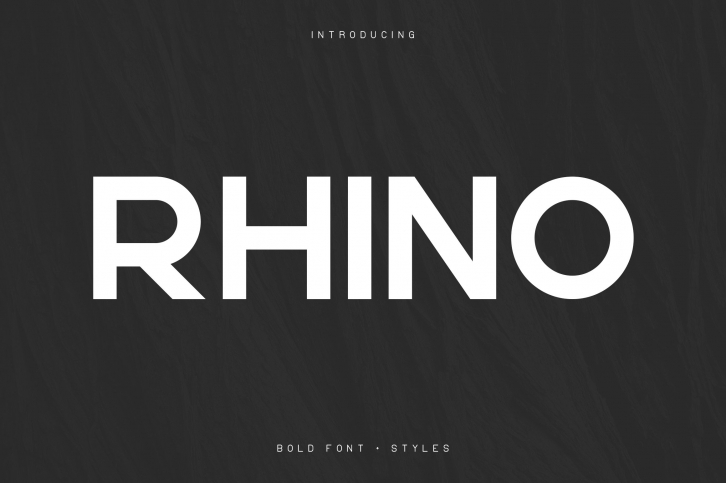 Rhino Bold font + Styles Font Download