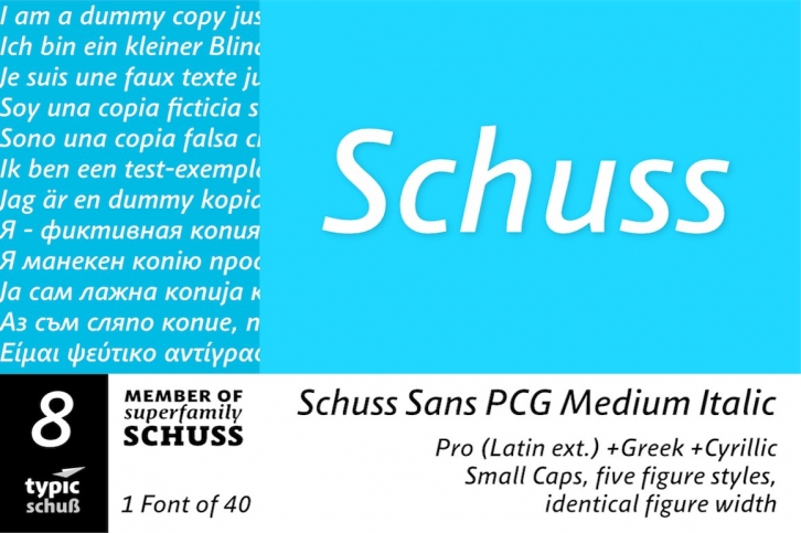 SchussSansPCGMedIta No.08 (1) Font Download