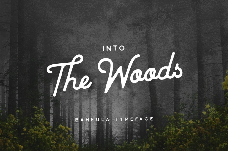 Baheula Vintage + Clean Typeface Font Download