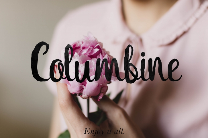 Columbine Script + bonus Font Download
