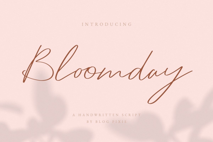 Bloomday Script Font Download
