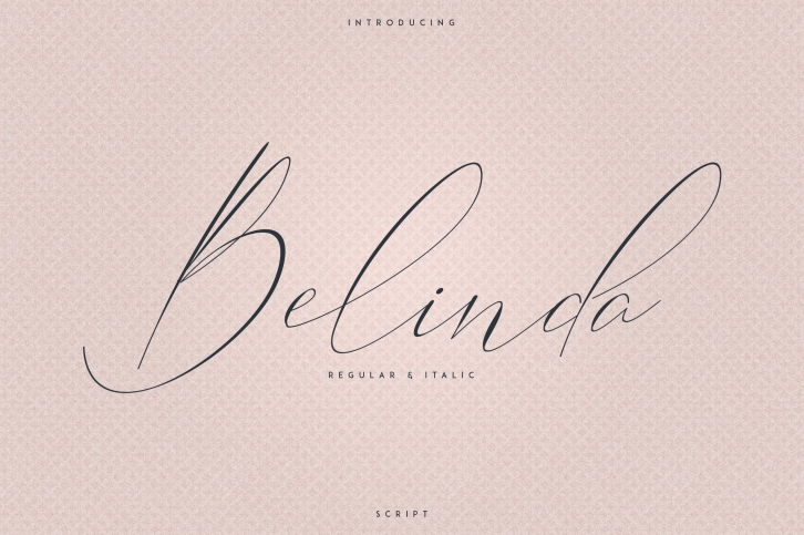 Belinda Script Font Download