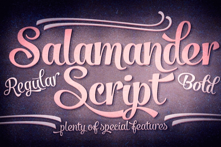 Salamander Script Font Download