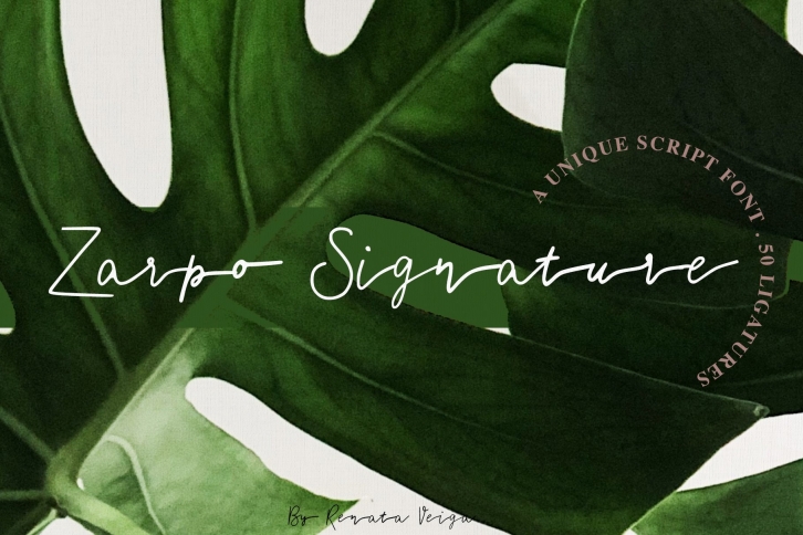 Zarpo Signature Font Download