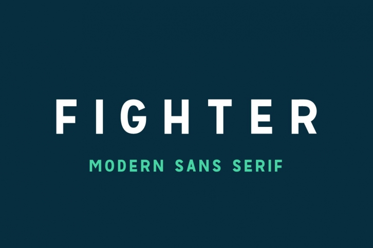 Fighter Font Download