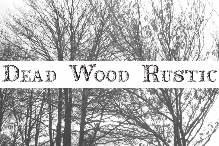 Dead Wood Rustic Font Download