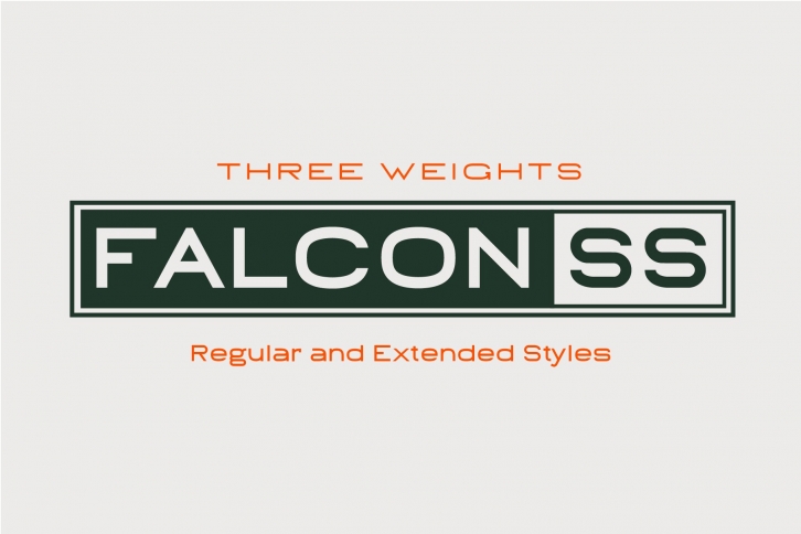 Falcon SS // 3 Weights 2 Styles Font Download