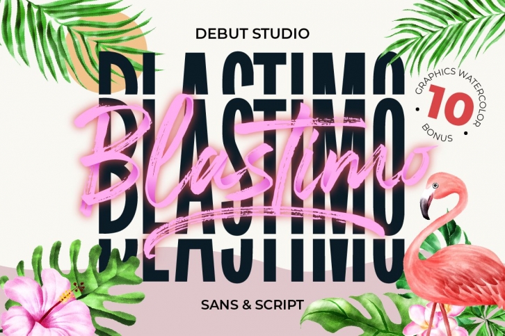 BLASTIMO // Sans  Script Font Download