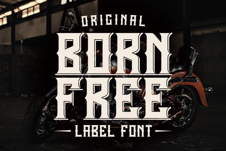 Born Free Typeface Font Download