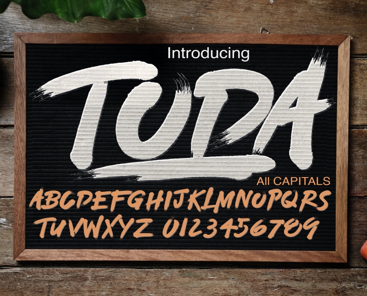 TODA Font Download