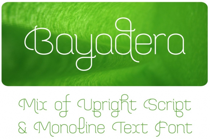 Bayadera 4F (Family) Font Download