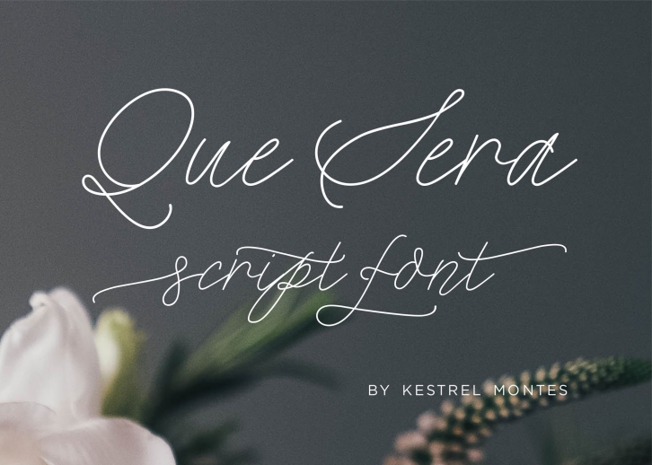 Que Sera Monoline Script Font Download