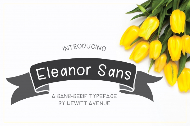 Eleanor Sans Serif Font Download