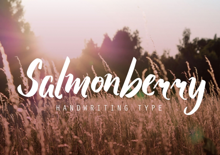 Salmonberry Font Download