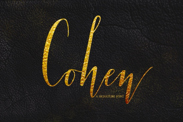 Cohen signature font Font Download