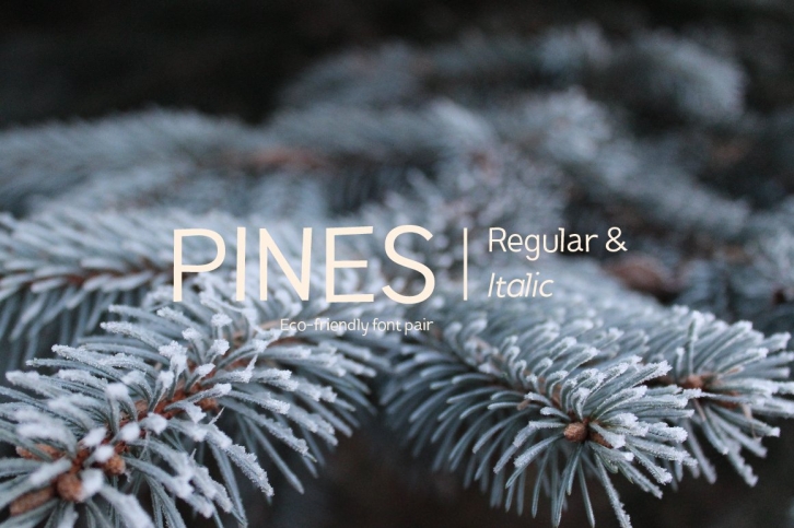 Pines Regular  Pines Italic Font Download