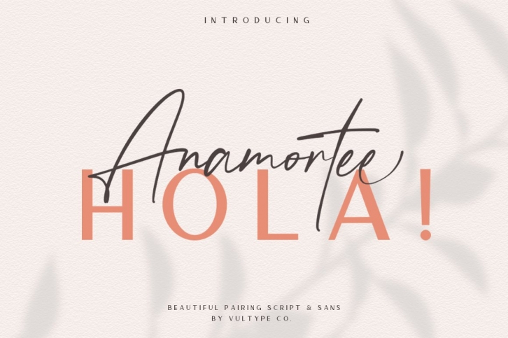 Anamortee // Modern Calligraphy Font Download