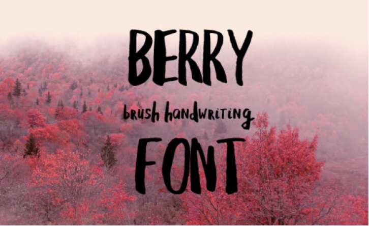 Berry Font Download