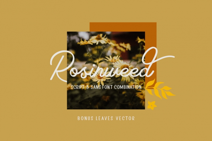 Rosinweed  ( + Bonus Leaves ) Font Download