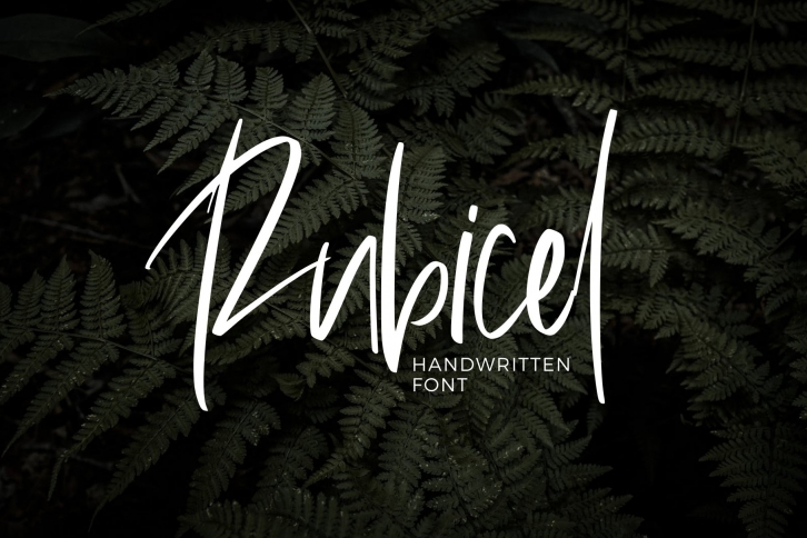 Rubicel Font Download