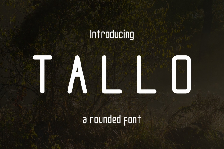Tall'o Font Download