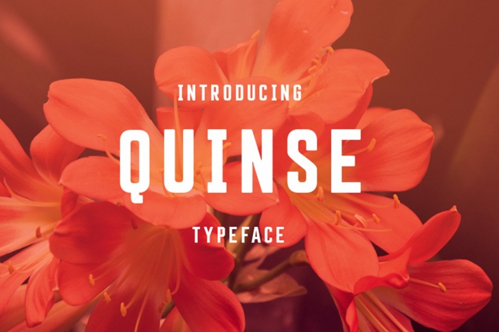 Quinse Font Download