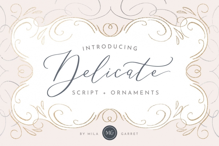 Delicate Elegant Script  Ornaments Font Download