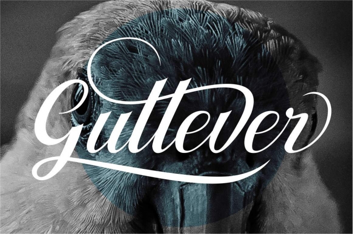 Gullever Font Download