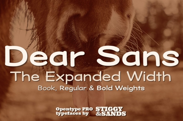 Dear Sans Expanded Family Font Download