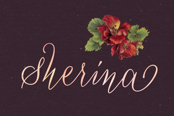 Sherina + Bonus Font Download