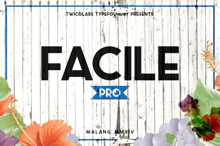 Facile Pro Font Download