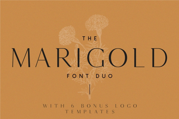 Marigold Font Download