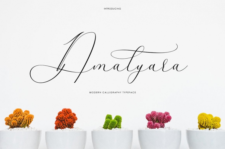 Amalyara Font Download
