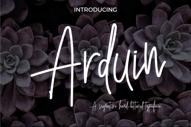 Arduin Script Font Download