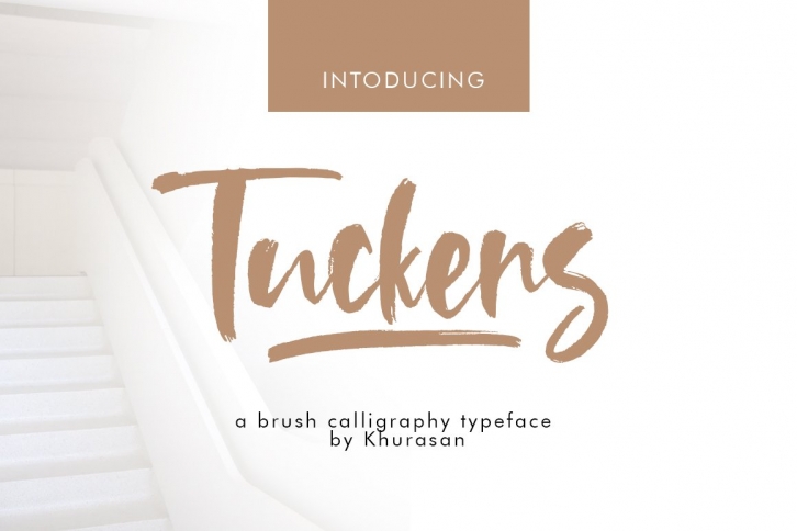 Tuckers Brush Font Download