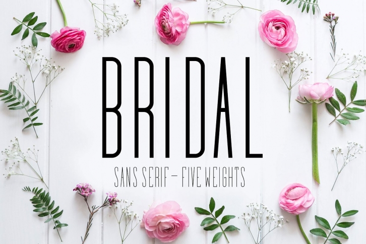 Bridal Sans Serif Font Download