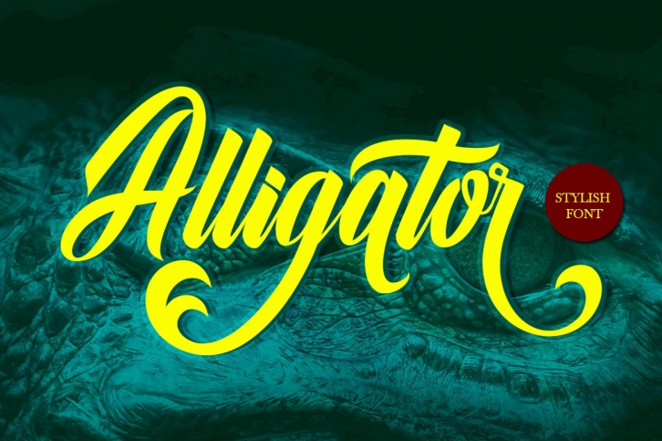 Alligator Font Download