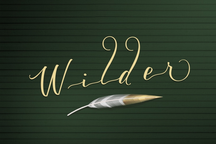 Wilder Font Download