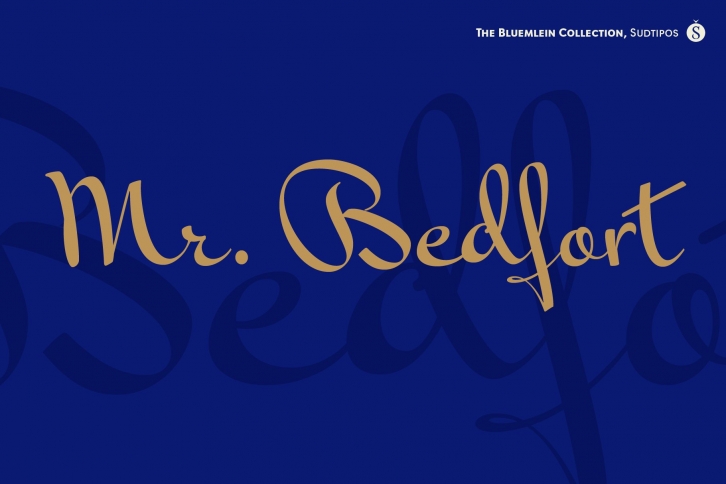 Mr Bedford Pro Font Download