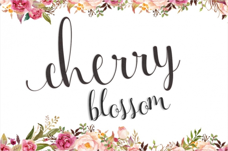 Cherry Blossom Font Download