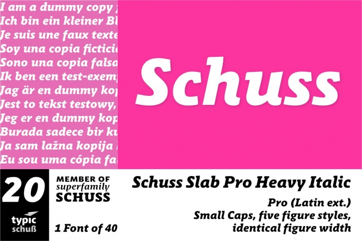 SchussSlabProHeavyIta No.20 (1) Font Download