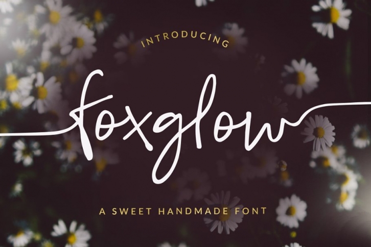 Foxglow Font Download