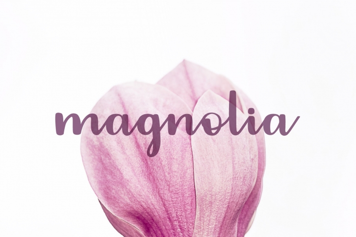Magnolia Brush Script Font Download