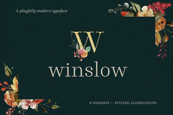 Winslow Family Font Download