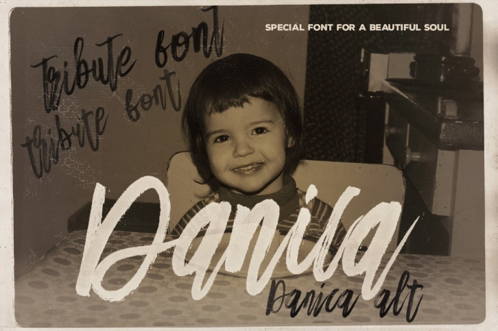 Danica Tribute Brush  SVG Font Download