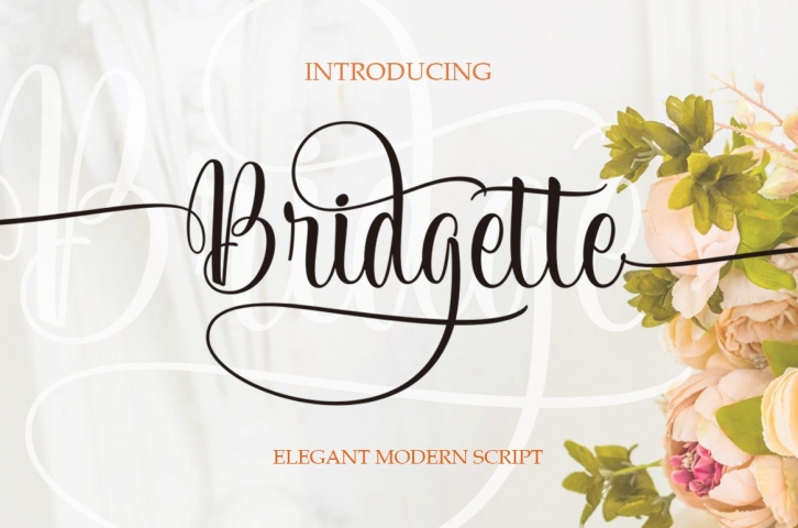 Bridgette Elegant Script Font Download